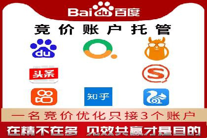 精准营销：百度推广平台的成功案例解析